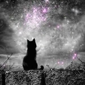 Meet your Posher, Helen